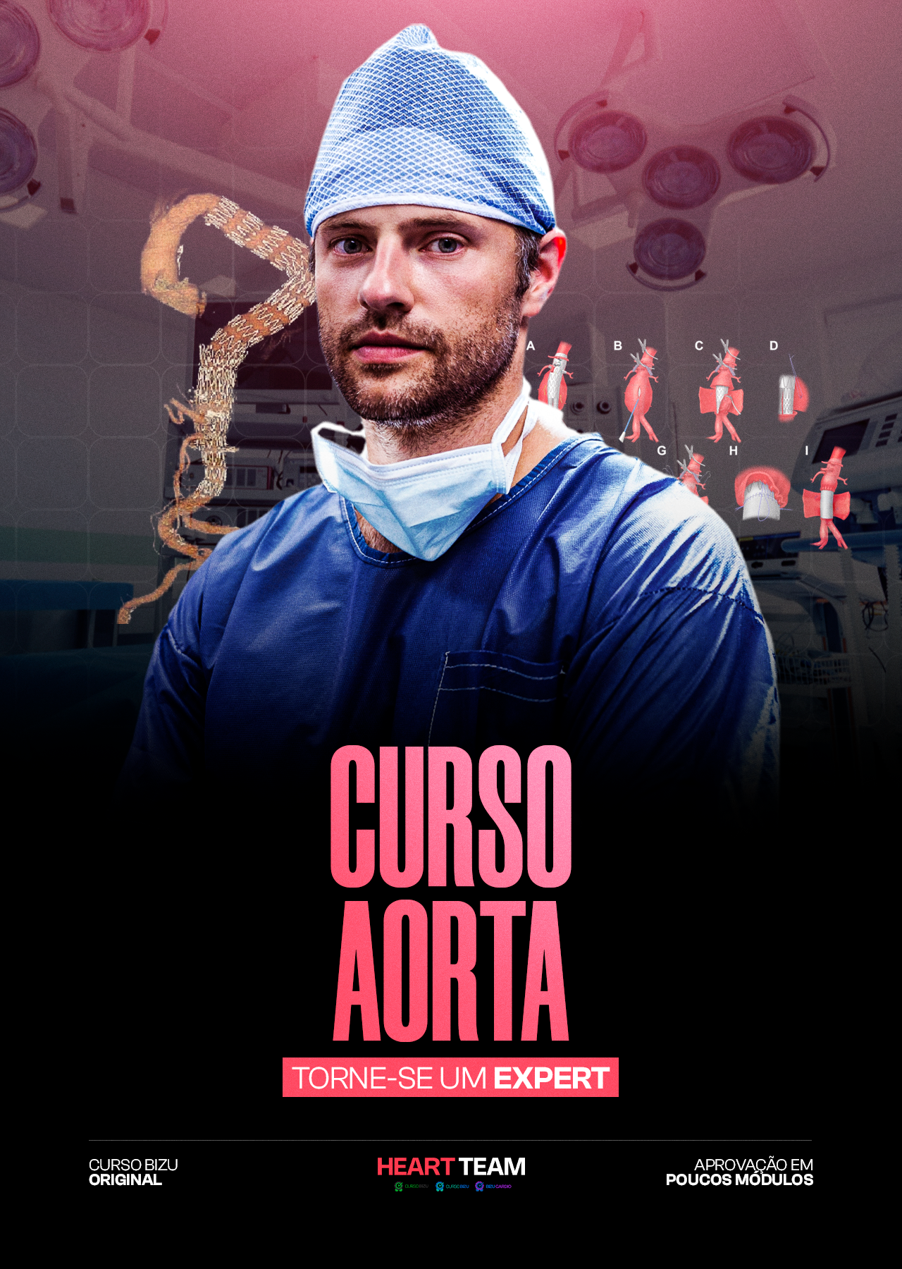 Curso BIZU - AORTA TEAM